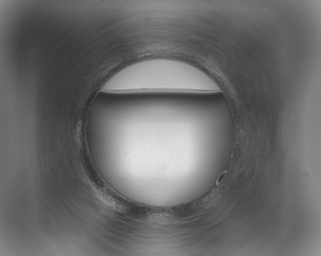 X0000071850066200606301140