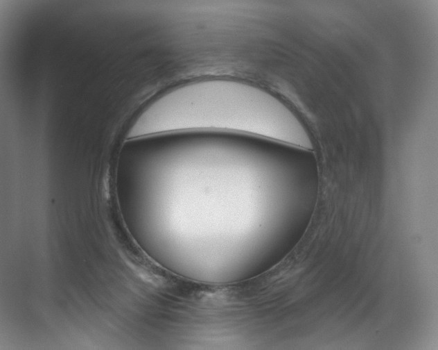 X0000071850068200606301140