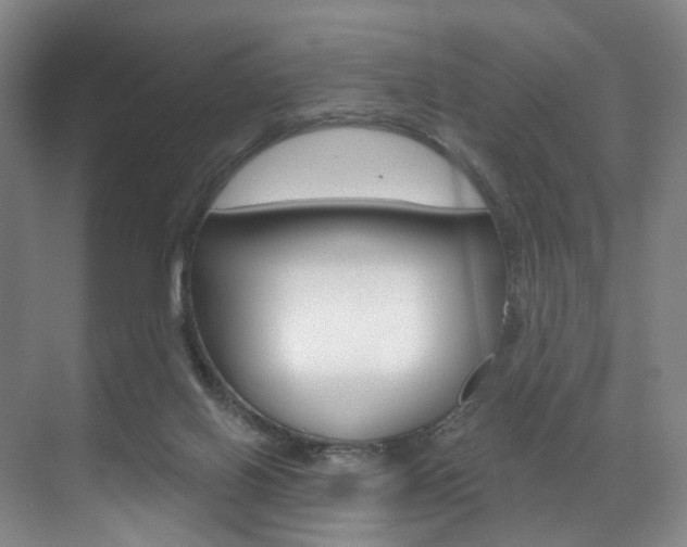 X0000071850070200606301140