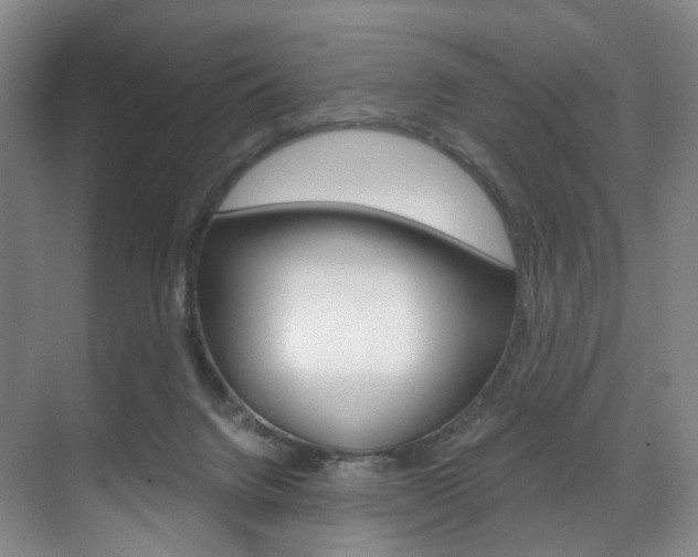 X0000071850072200606301141