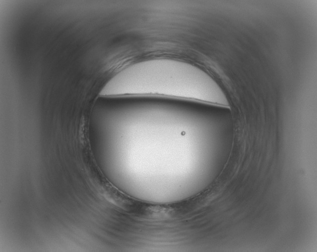 X0000071850073200606301141