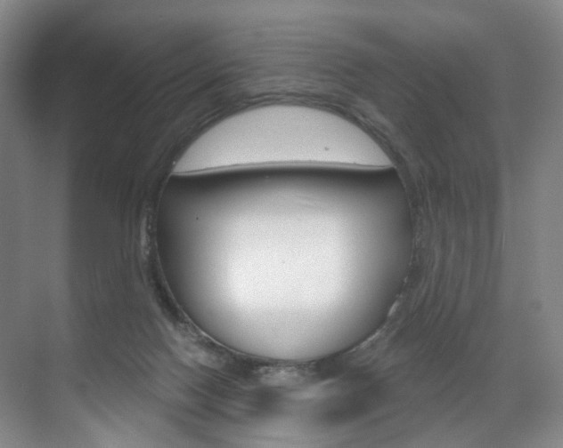 X0000071850074200606301141