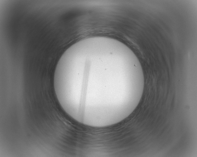 X0000071850075200606301141