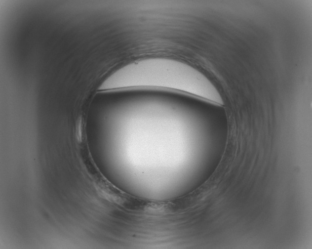 X0000071850076200606301141