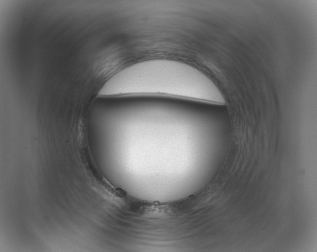 X0000071850077200606301141