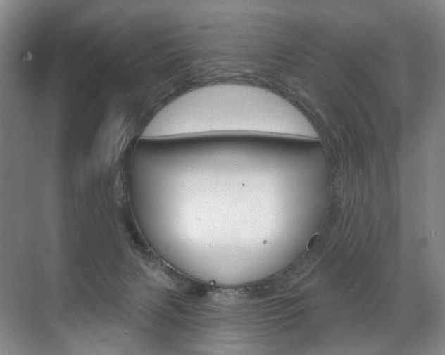 X0000071850079200606301141