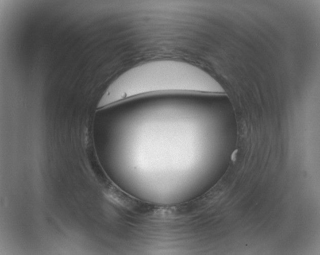 X0000071850080200606301141