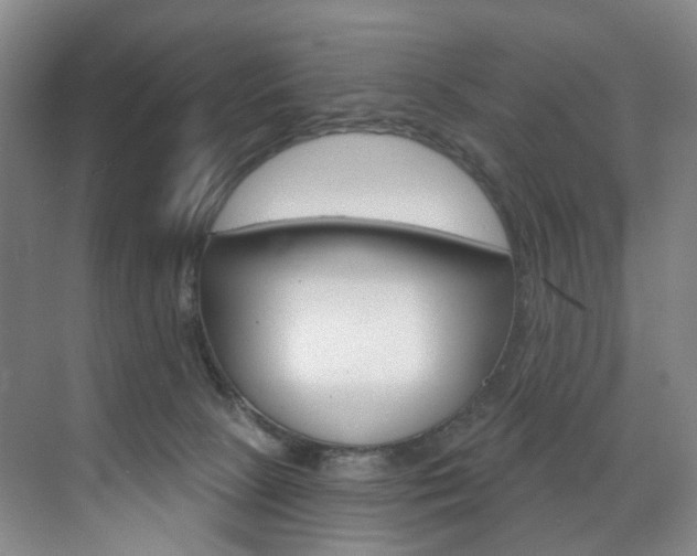 X0000071850081200606301141