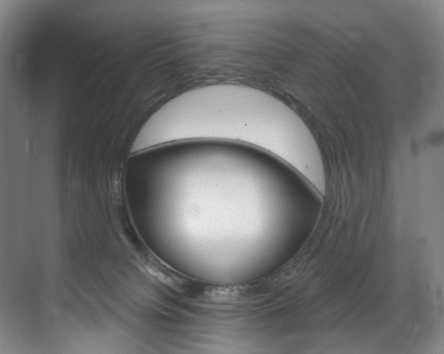 X0000071850084200606301141