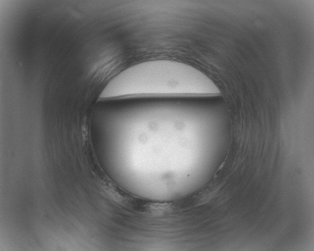 X0000071850085200606301141