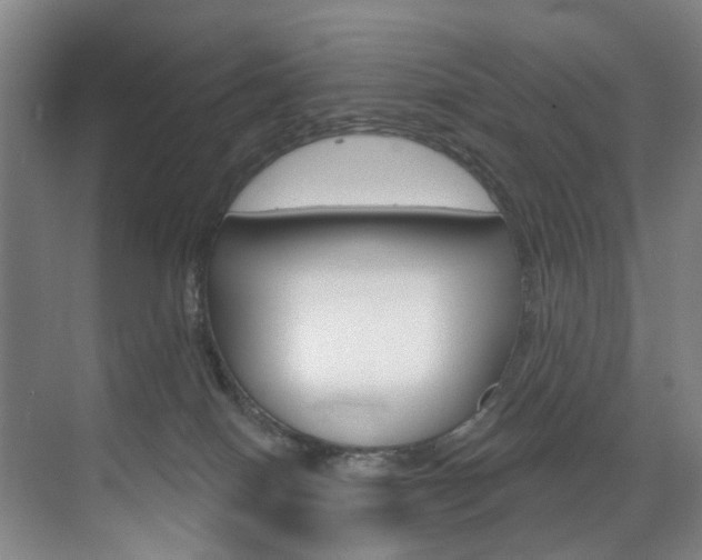 X0000071850086200606301141