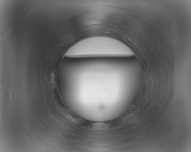 X0000071850087200606301141