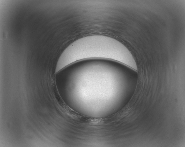 X0000071850088200606301141