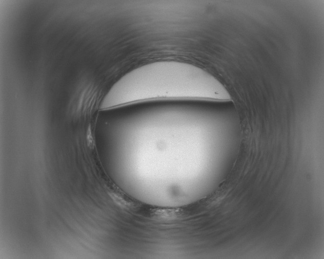 X0000071850089200606301141