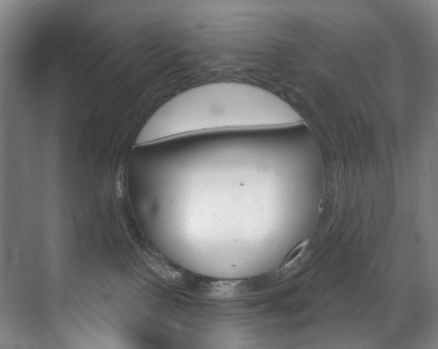 X0000071850090200606301141