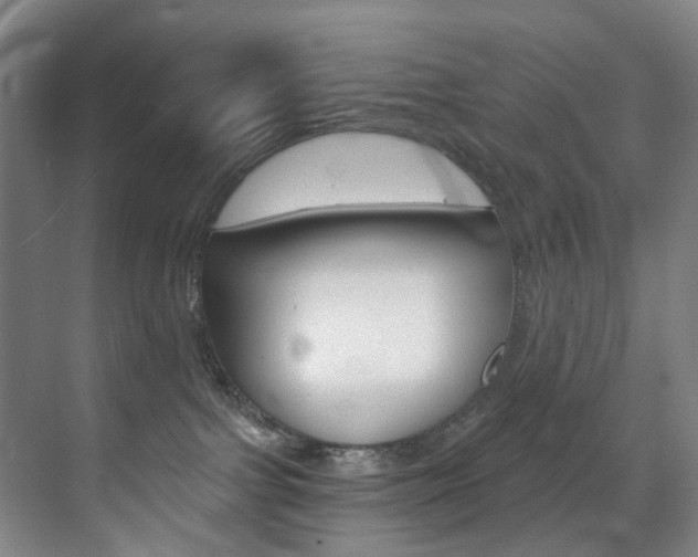 X0000071850091200606301141