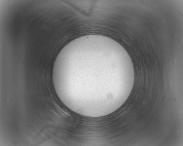 X0000071850092200606301141