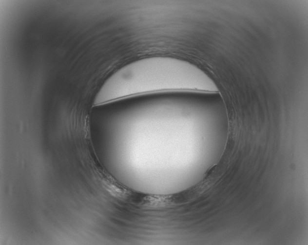 X0000071850093200606301141