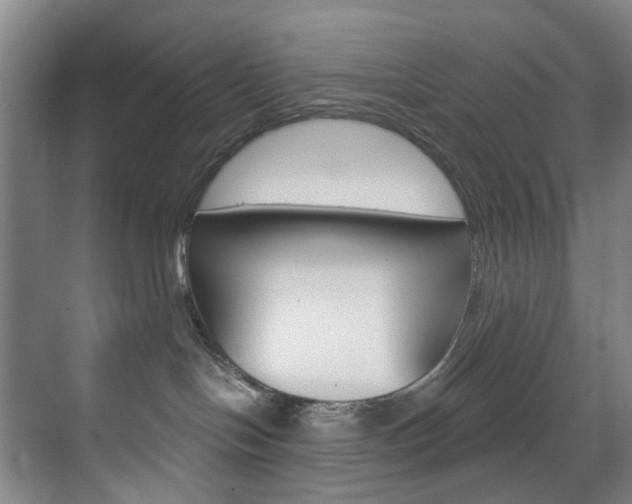 X0000071850094200606301141