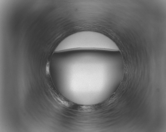 X0000071850095200606301141