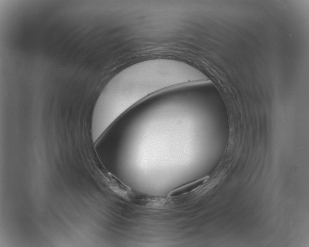 X0000071850096200606301141