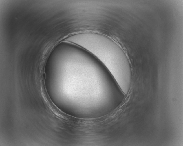 X0000071850097200606301140