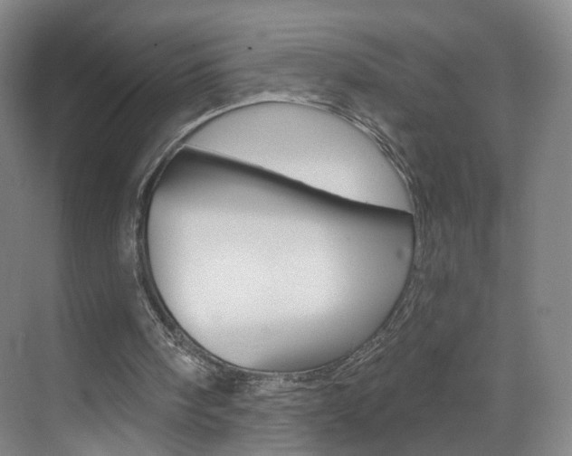 X0000071850098200606301140