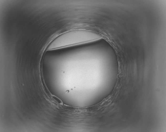 X0000071850099200606301140