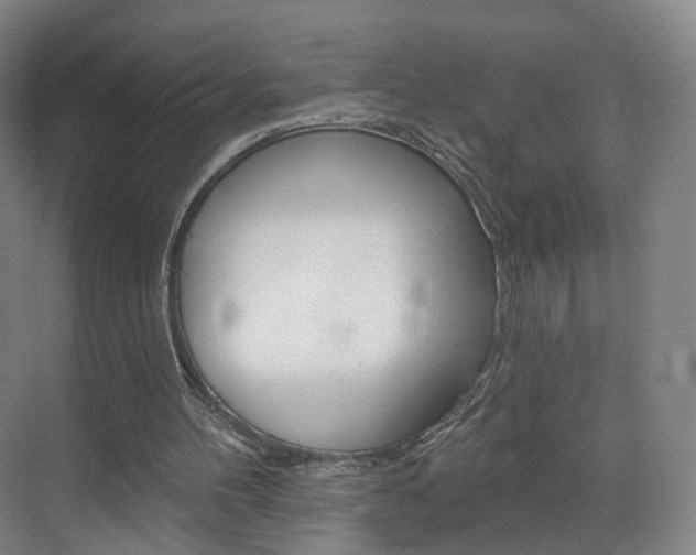 X0000071850100200606301140