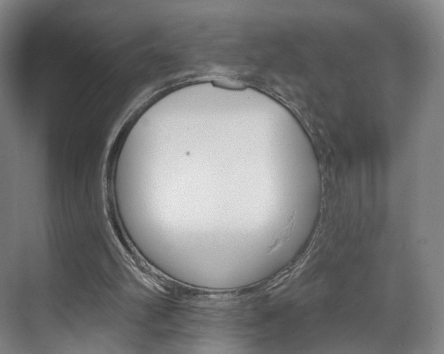 X0000071850102200606301140