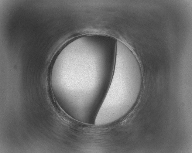 X0000071850103200606301140