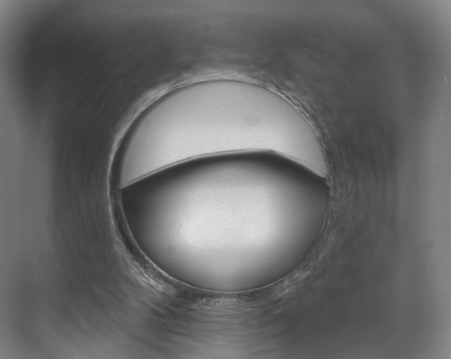 X0000071850104200606301140