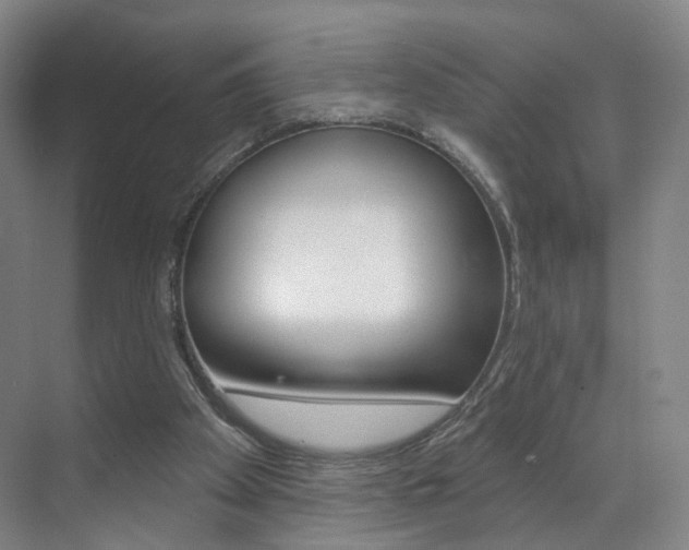 X0000071850105200606301140