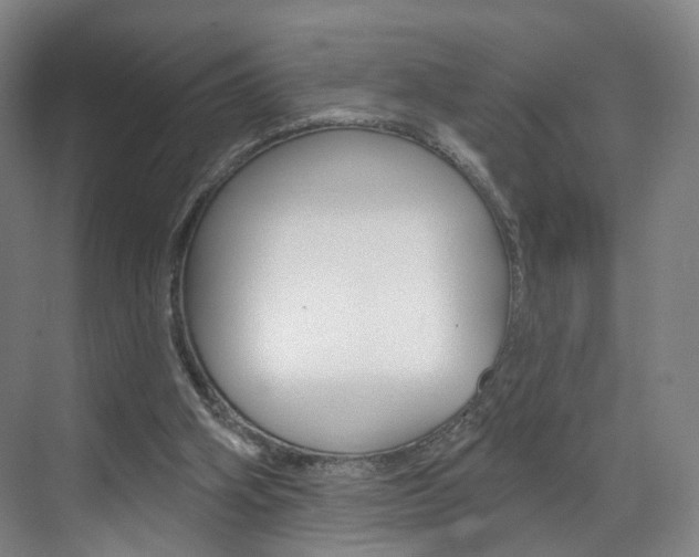 X0000071850106200606301140