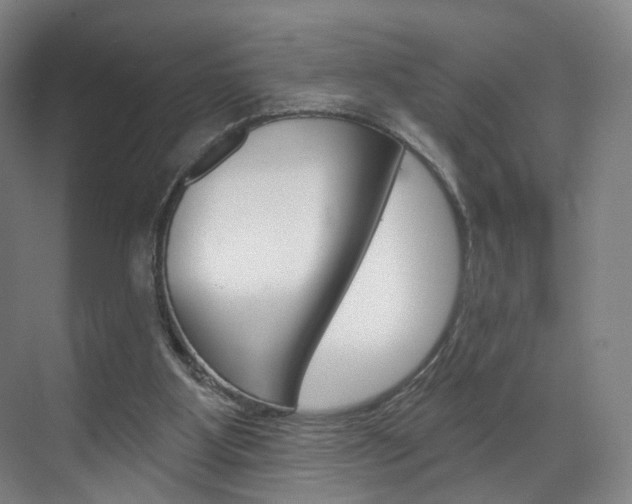 X0000071850107200606301140