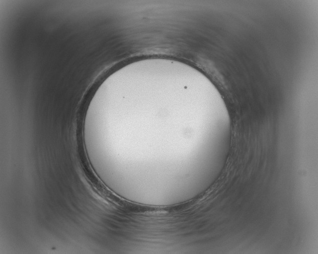 X0000071850108200606301140