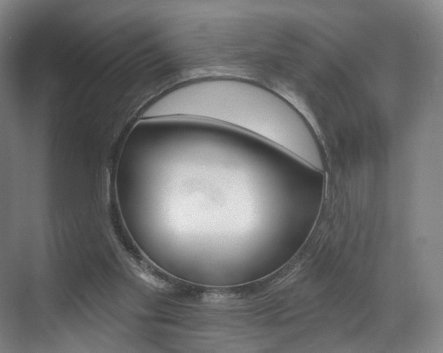 X0000071850109200606301140