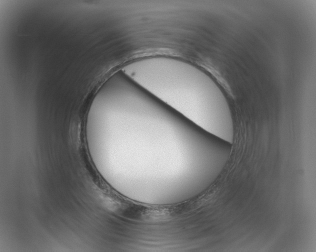 X0000071850110200606301140