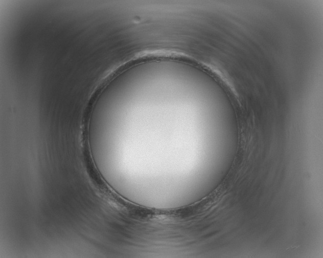 X0000071850111200606301140