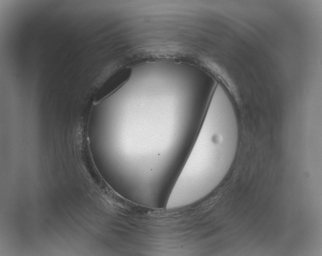 X0000071850113200606301140