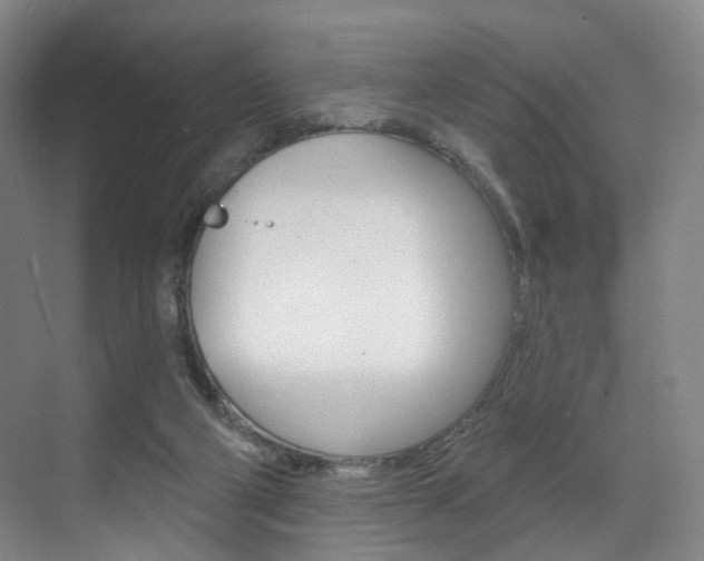 X0000071850114200606301140