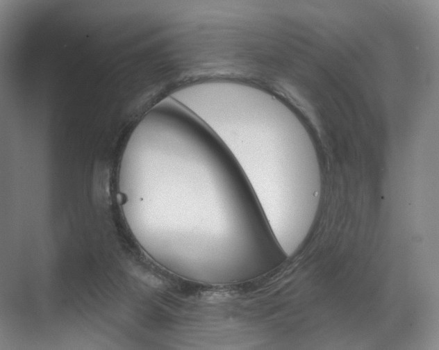 X0000071850115200606301140