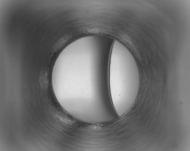 X0000071850116200606301140