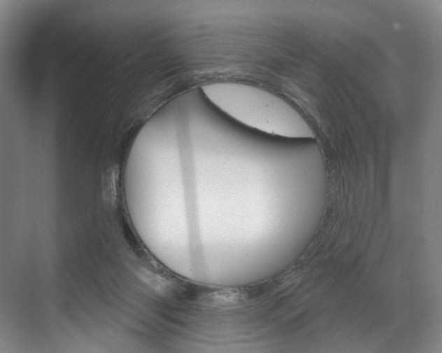 X0000071850118200606301140