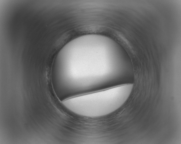 X0000071850119200606301140