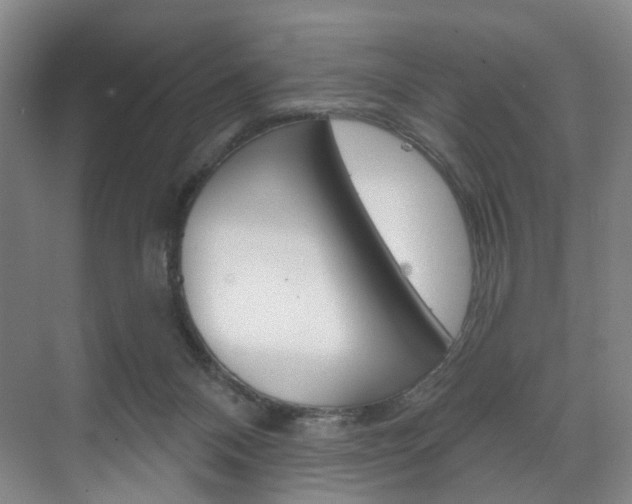 X0000071850120200606301140