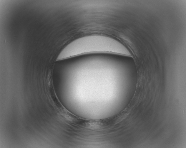 X0000071850121200606301140