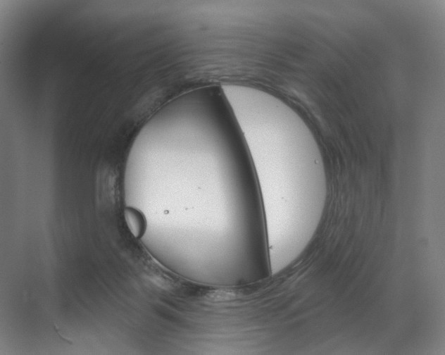 X0000071850123200606301140