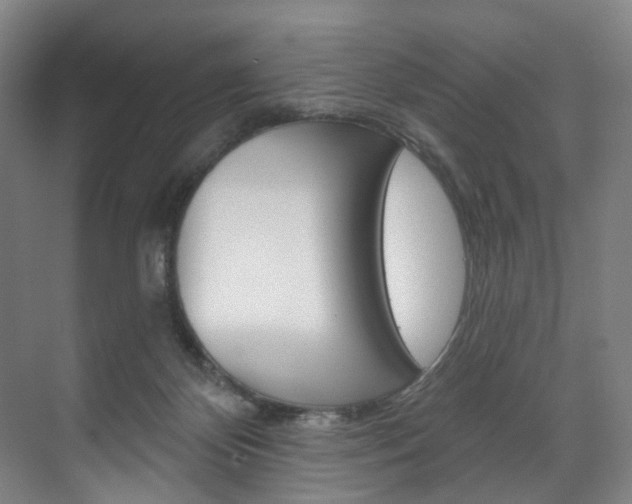 X0000071850124200606301140