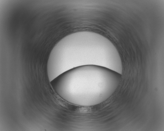 X0000071850126200606301140